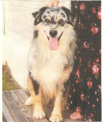 HALL OF FAME SIRE